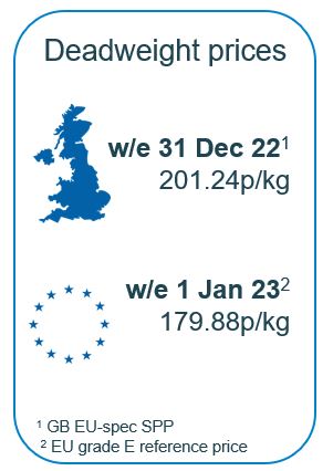 infographic of deadweight pig prices at the end of December 2022